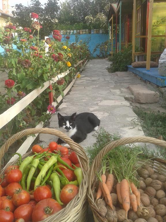 Garden Of Cappadocia Apartment Üchisar Bagian luar foto