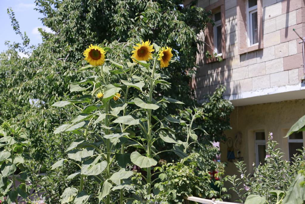 Garden Of Cappadocia Apartment Üchisar Bagian luar foto